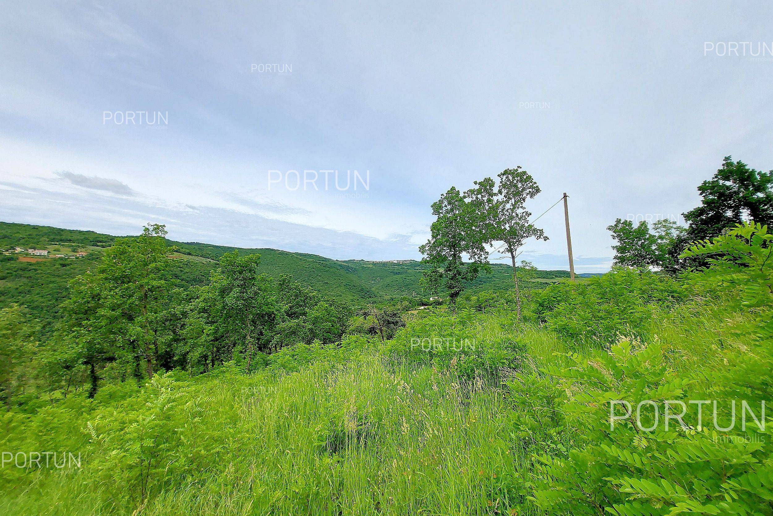 Zemljište na prodaju Motovun - 40509 - 03