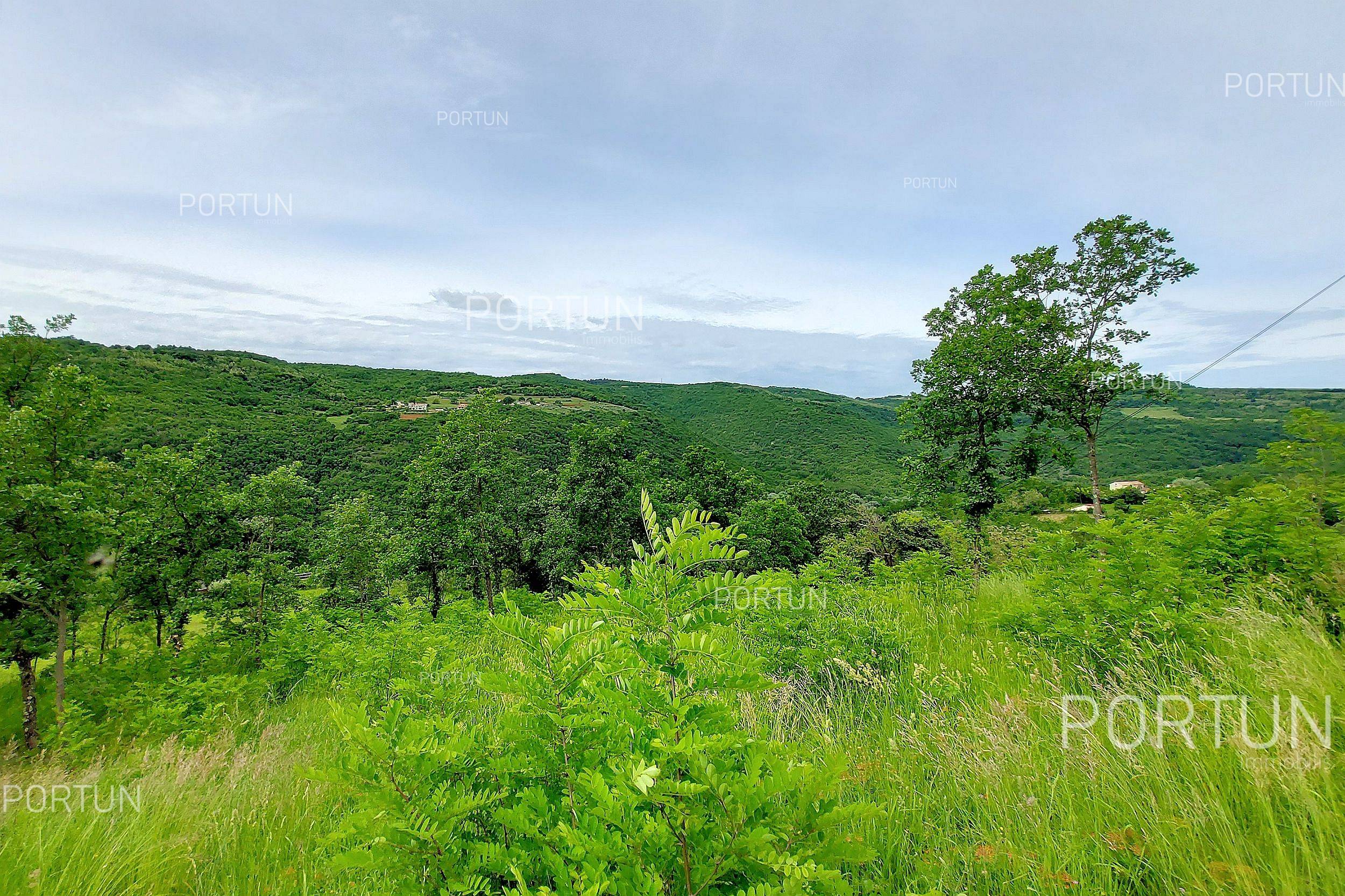 Zemljište na prodaju Motovun - 40509 - 04