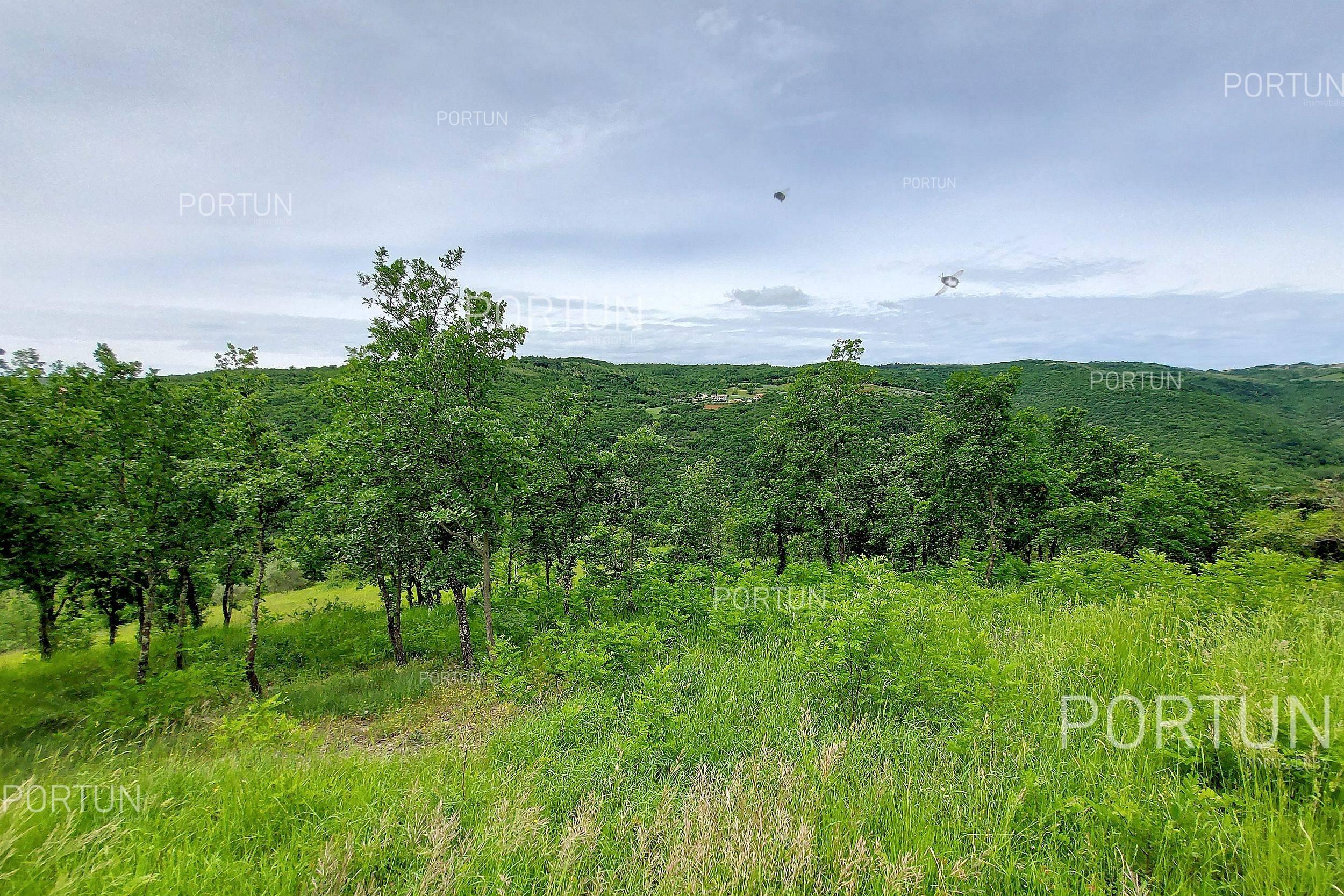 Zemljište na prodaju Motovun - 40509 - 05
