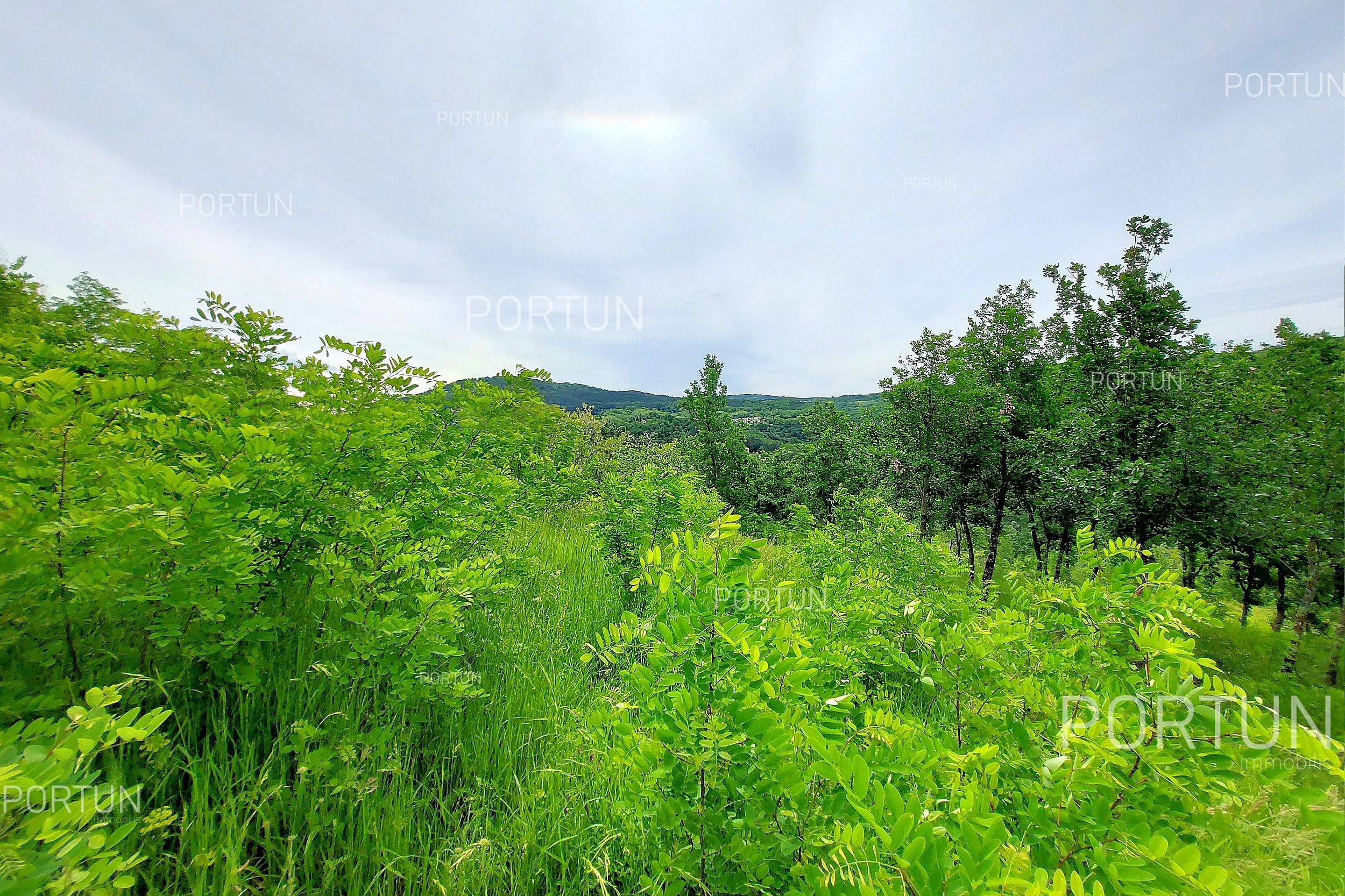 Zemljište na prodaju Motovun - 40509 - 06