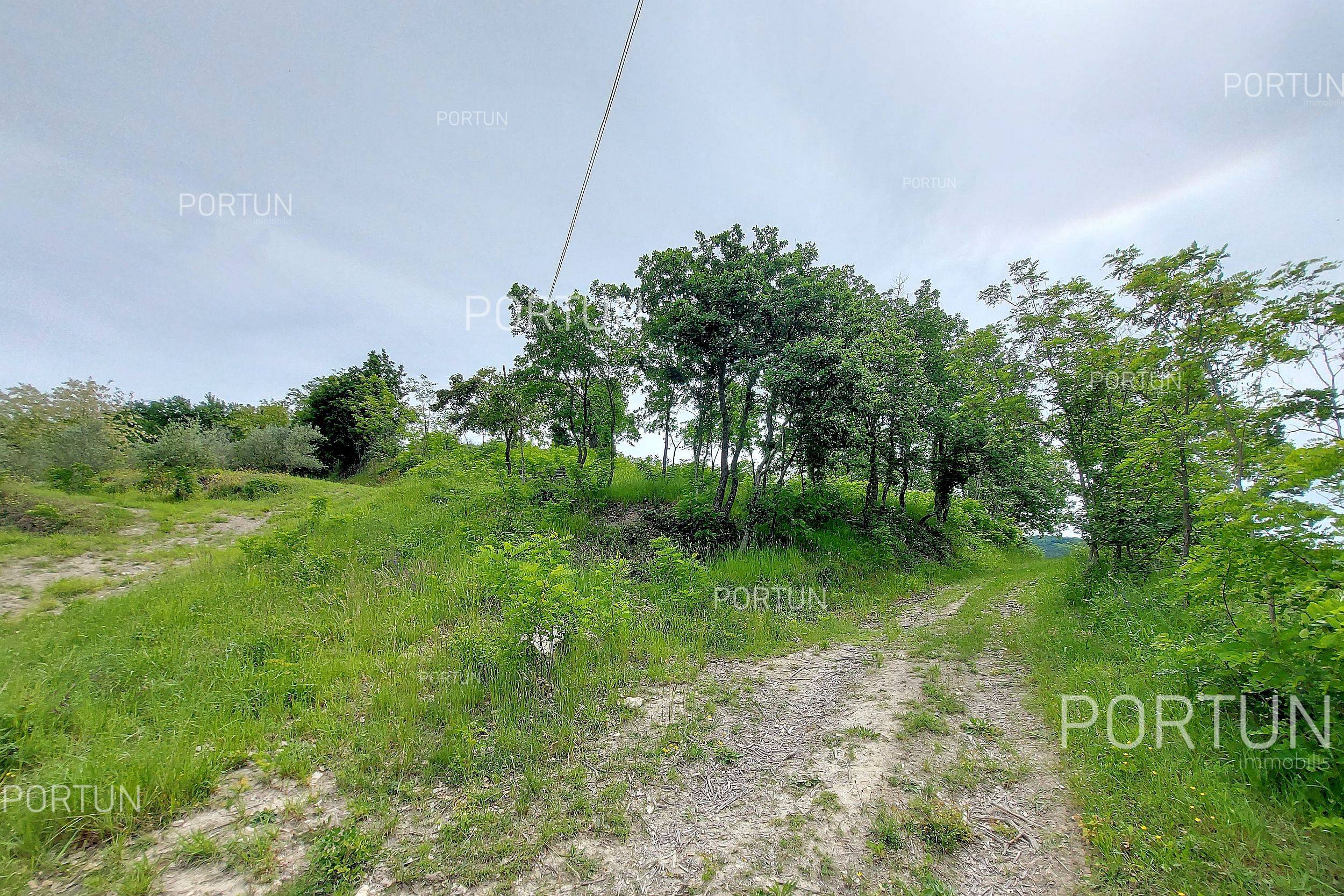 Zemljište na prodaju Motovun - 40509 - 07