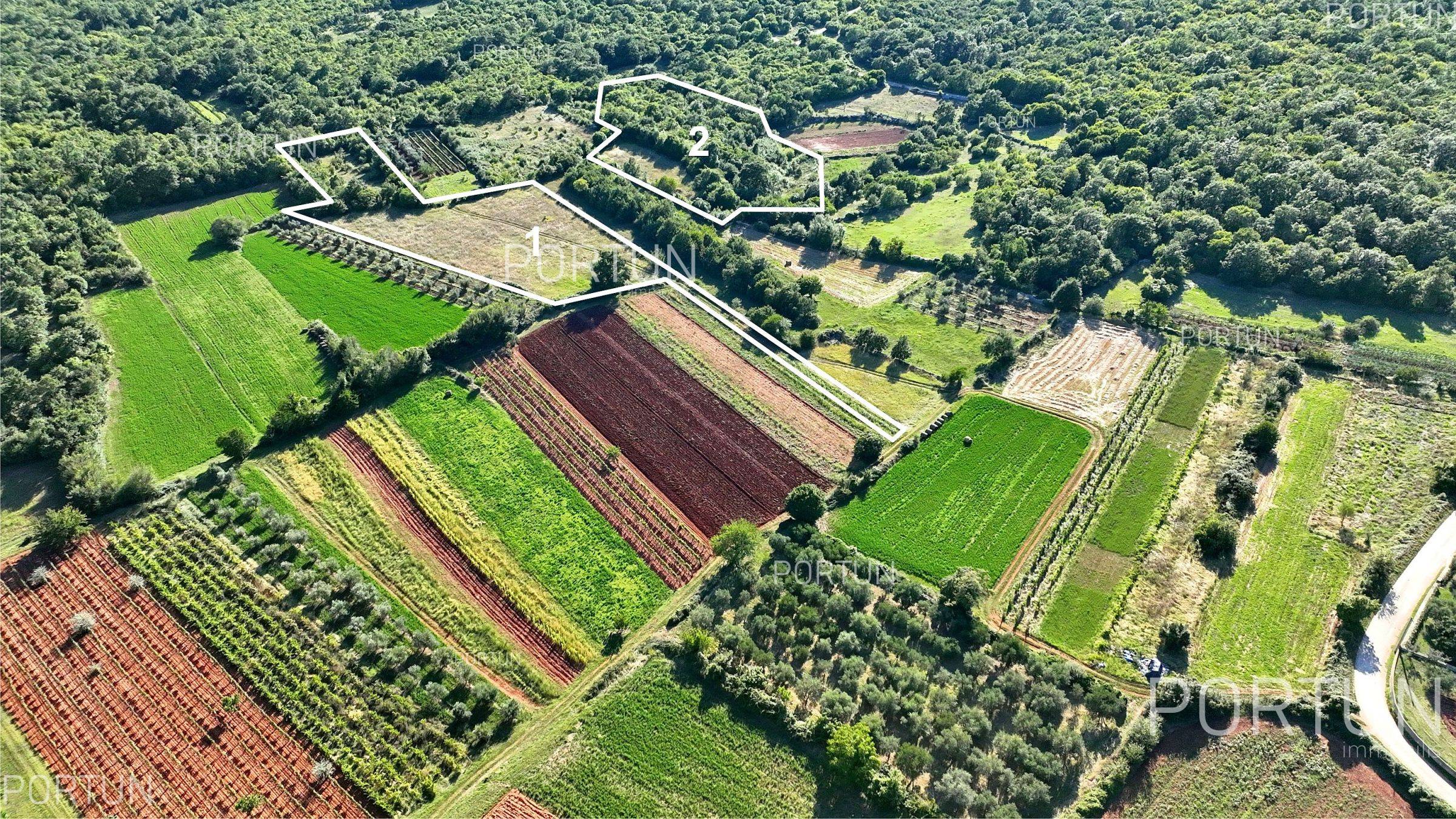 Земельный участок на продажу в Светвинченат - 40522 - 01