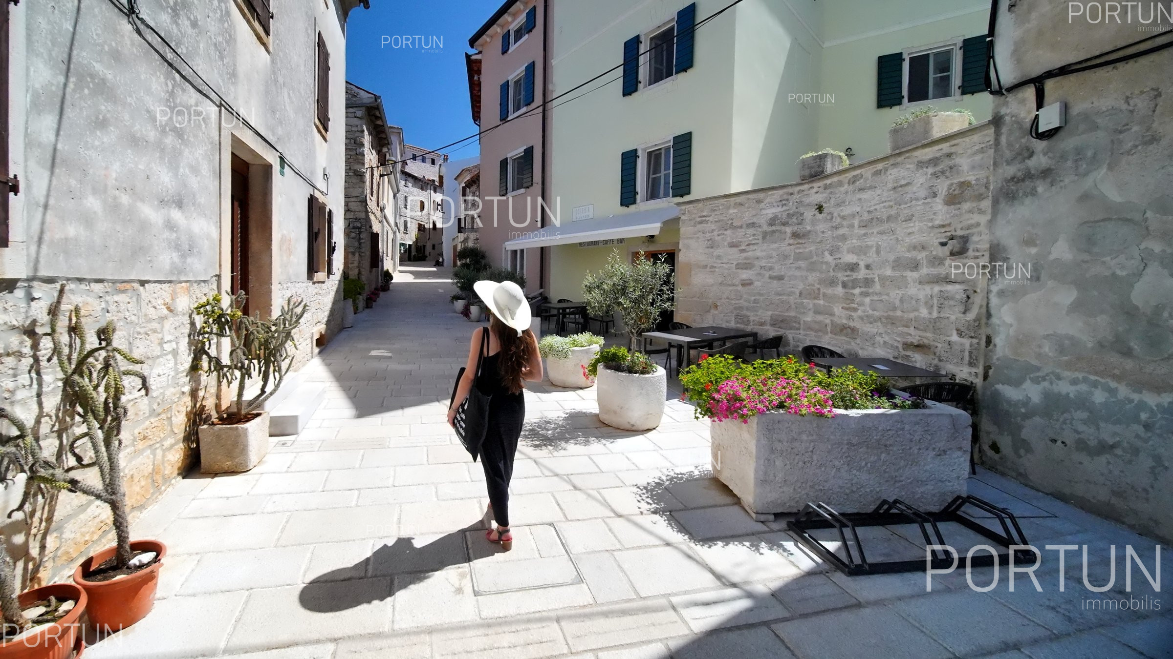 Kupnja kuce Bale Vodic