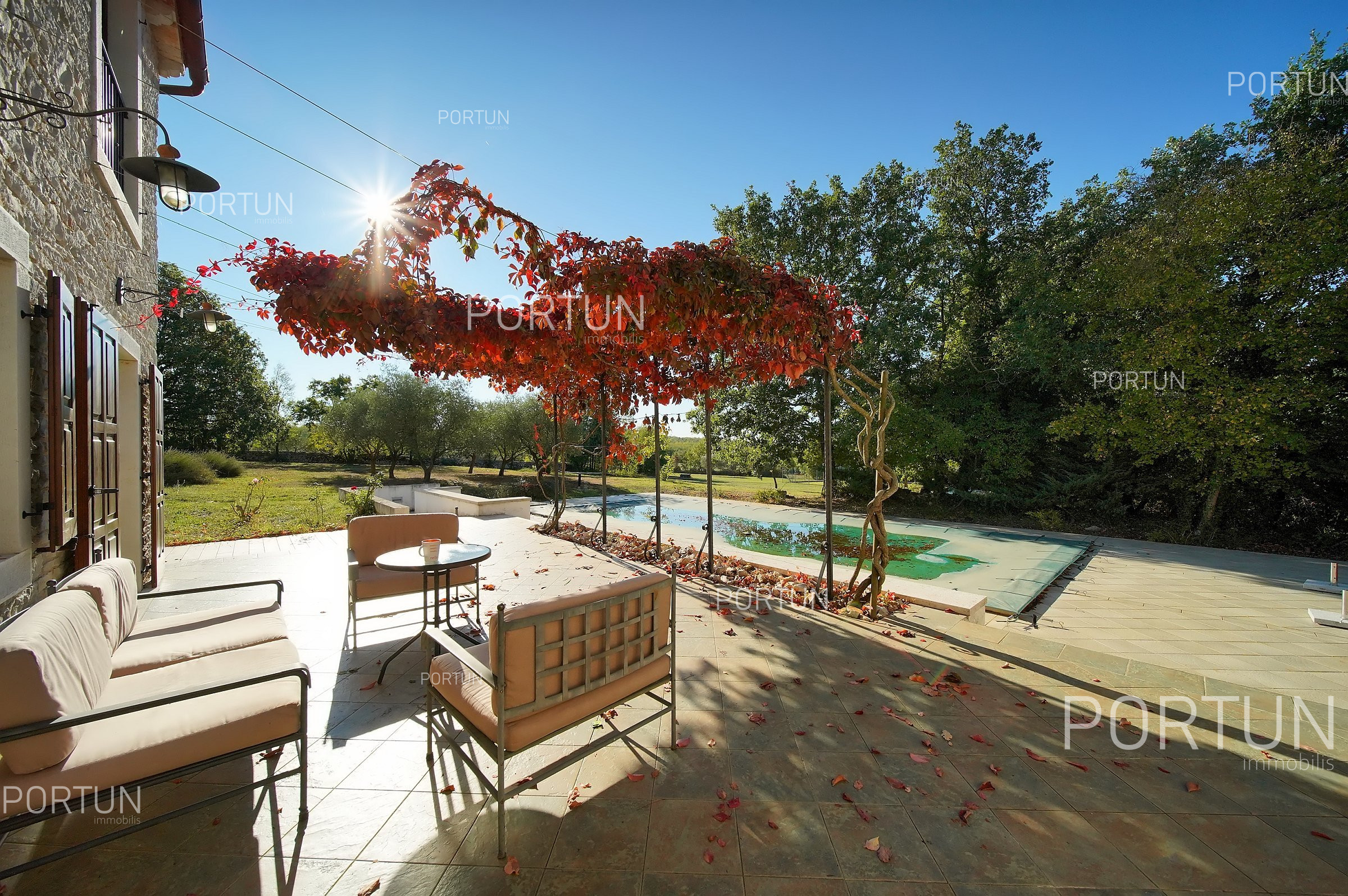 Luskuzne kuce Istra 01