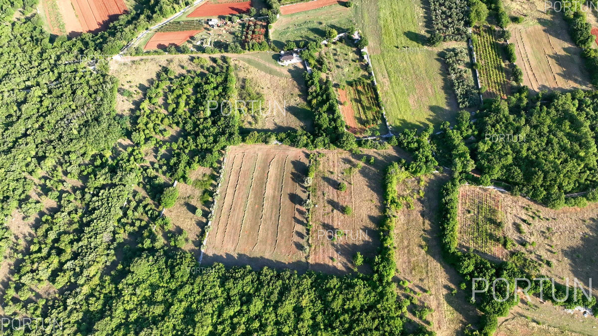 item_Najčešće greške pri kupnji zemljišta u Istri