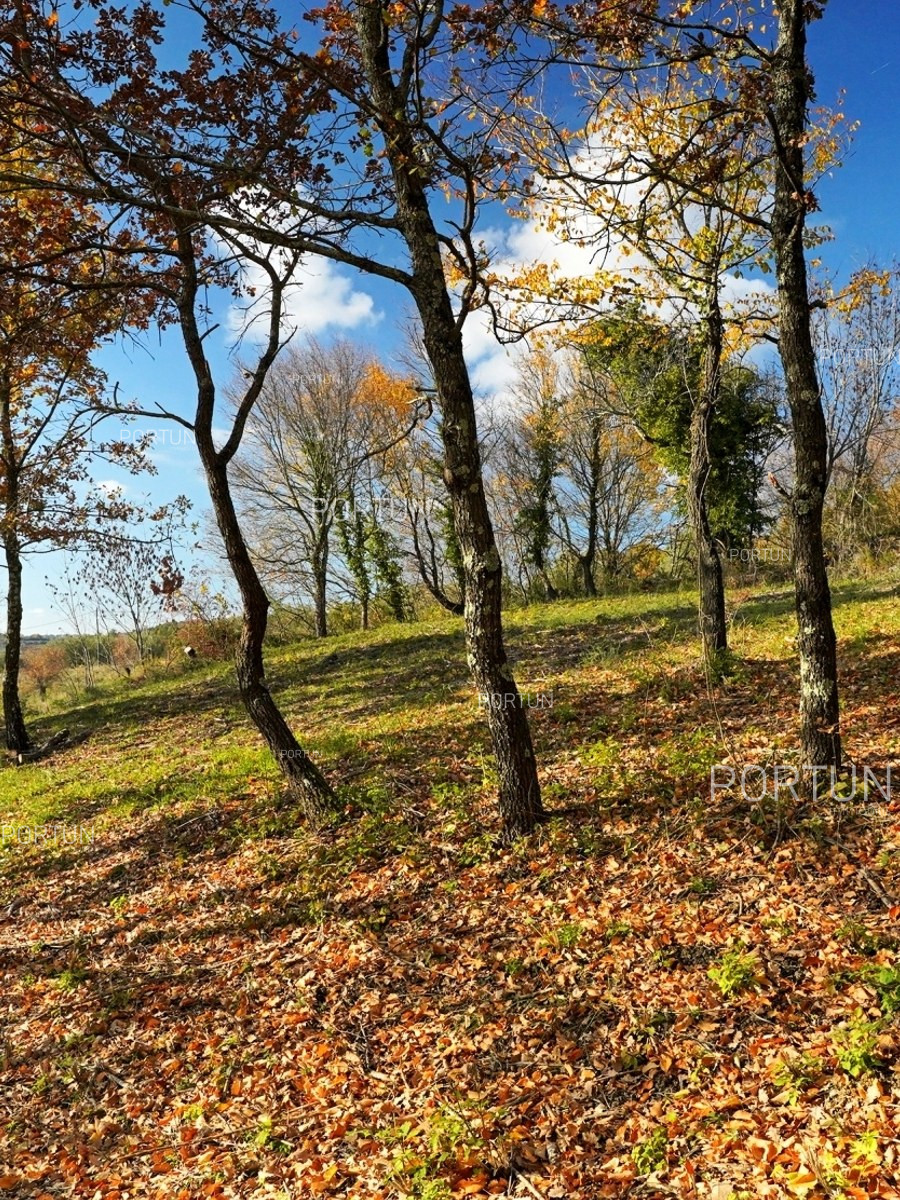 05 02 Baugrundstucke in Istrien