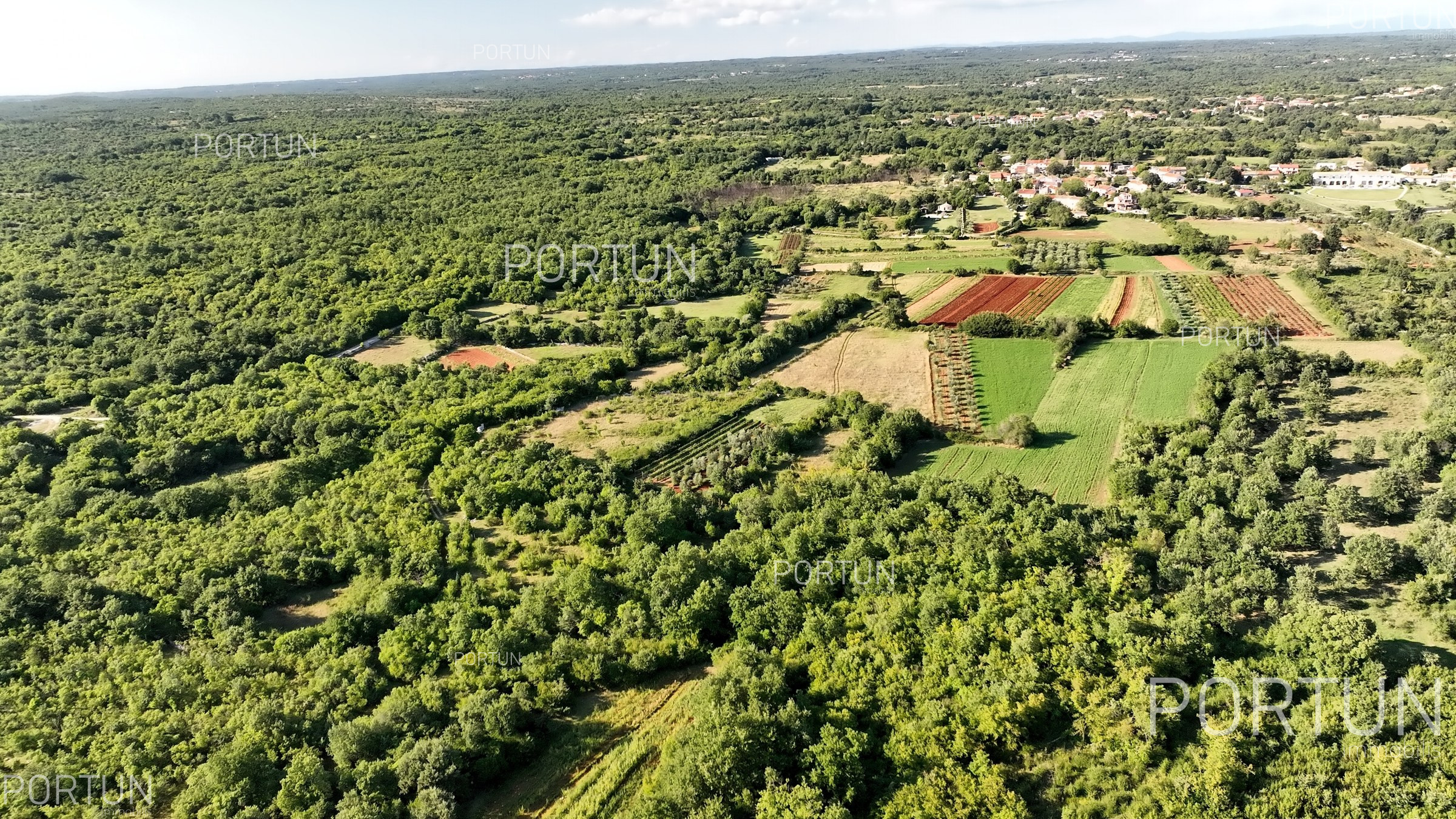 item_Acquisto di terreni di grandi dimensioni per frazionamento in Istria